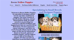 Desktop Screenshot of boonehollowpuppies.com